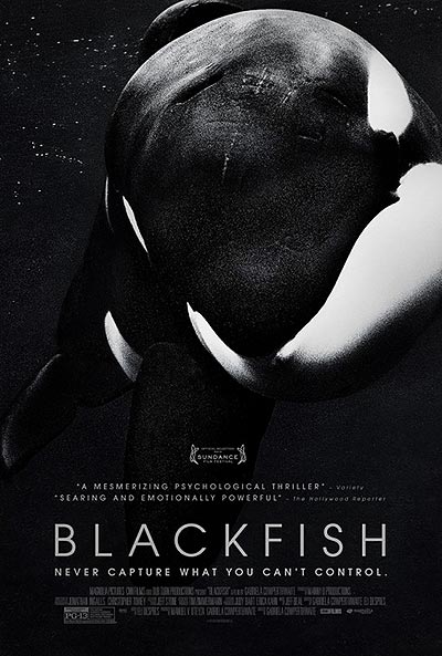 مستند Blackfish