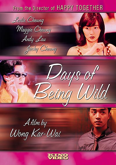 فیلم Days of Being Wild 720p