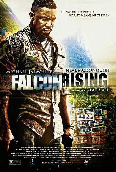 فیلم Falcon Rising 1080p