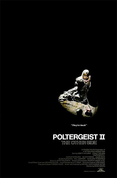 فیلم Poltergeist II: The Other Side 720p