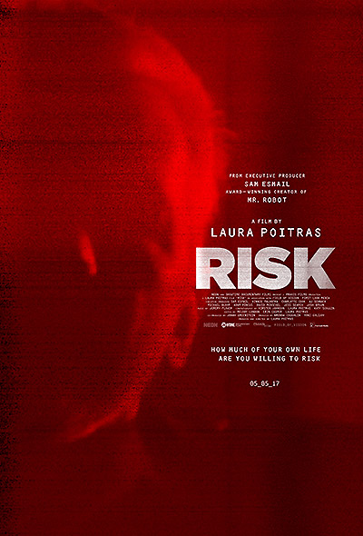 مستند Risk