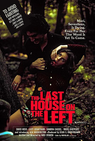 فیلم The Last House on the Left 720p