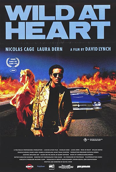 فیلم Wild at Heart 720p