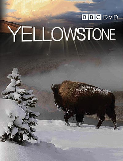 مستند Yellowstone 720p